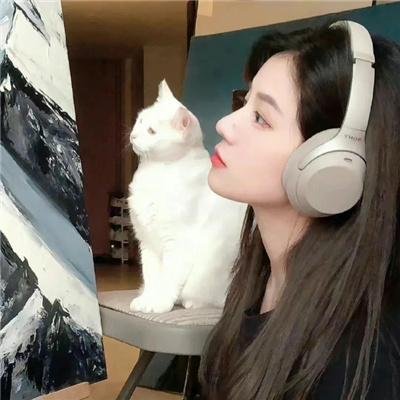 光环第二季